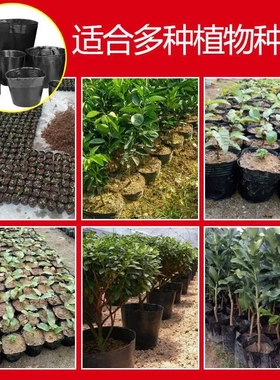 杯塑料小碗一次性花盆黑色种植袋袋盆钵