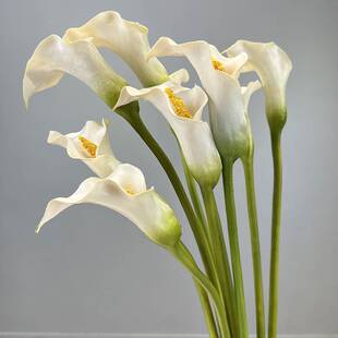 仿真花厚PU马蹄莲 假花海芋家居装饰软装花艺花材小海芋婚庆道具