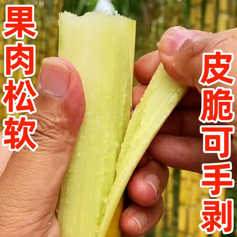 广西特产黄金甘蔗新鲜超甜应