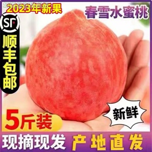 现货春雪水蜜桃新鲜时令水果5斤现摘当应季整箱孕妇冬桃脆毛桃子