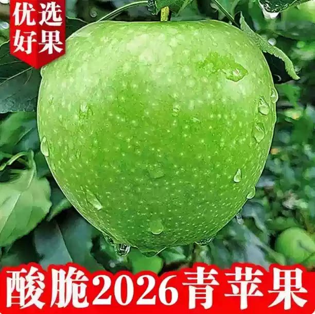正宗青苹果新鲜水果5斤当季现摘现发小苹果王林整箱酸脆多汁包邮图片