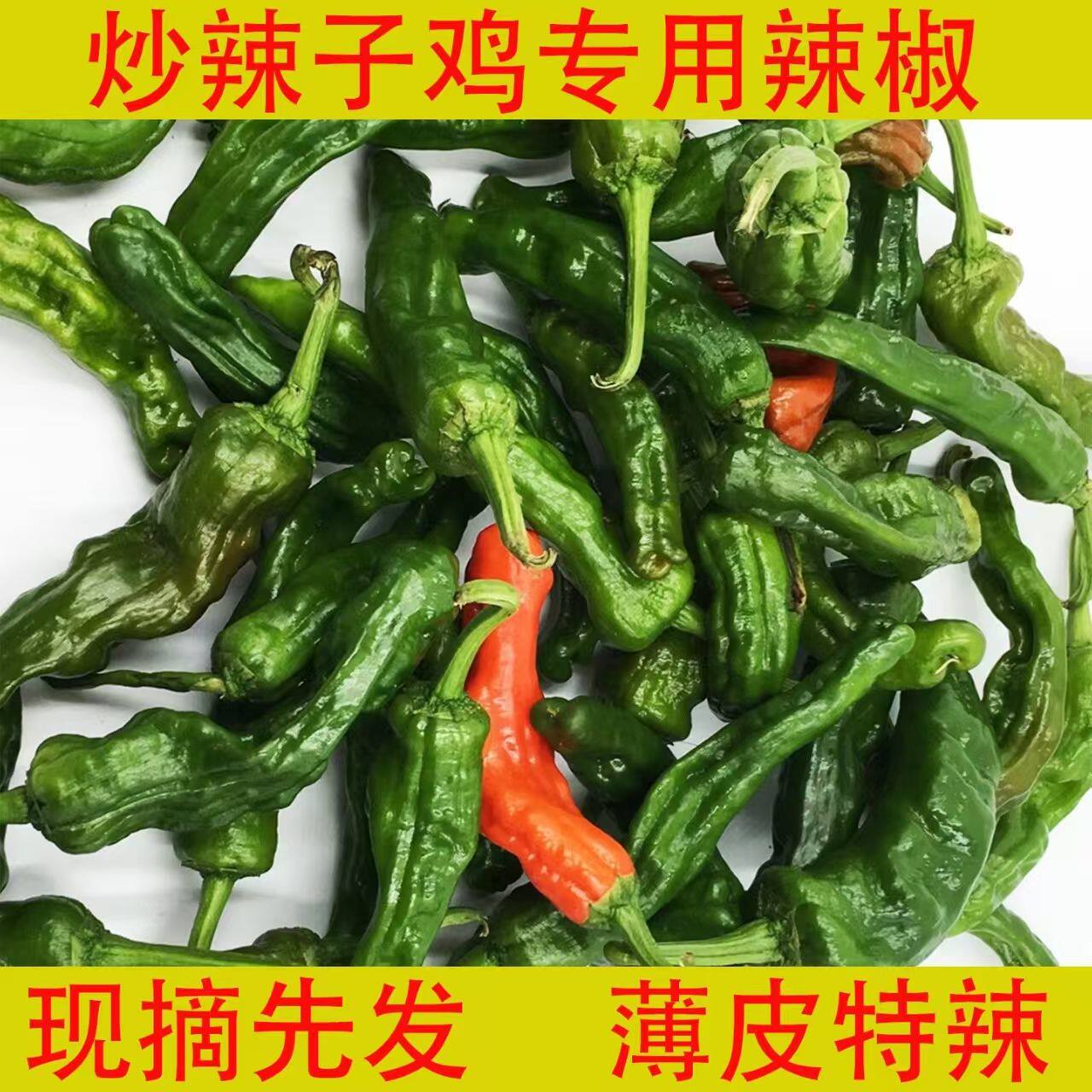 山东枣庄薄皮辣椒炒鸡专用蔬菜新鲜一窝蜂小皱皮本地土螺丝青辣椒