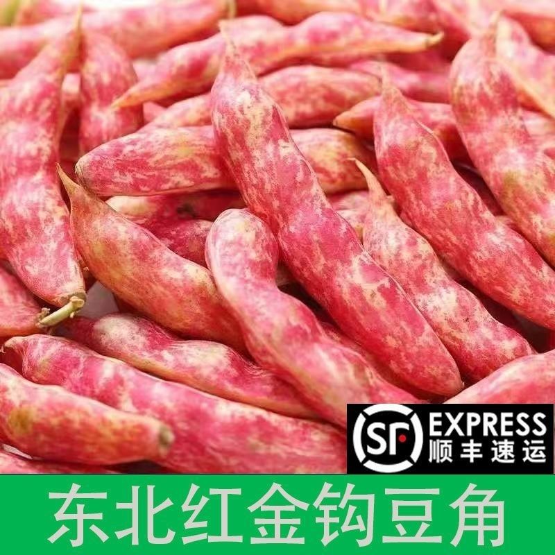 【顺丰包邮】正宗东北特产新鲜红金勾豆角红金钩油豆角老品种批发图片