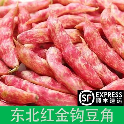【顺丰包邮】正宗东北特产新鲜红金勾豆角红金钩油豆角老品种批发