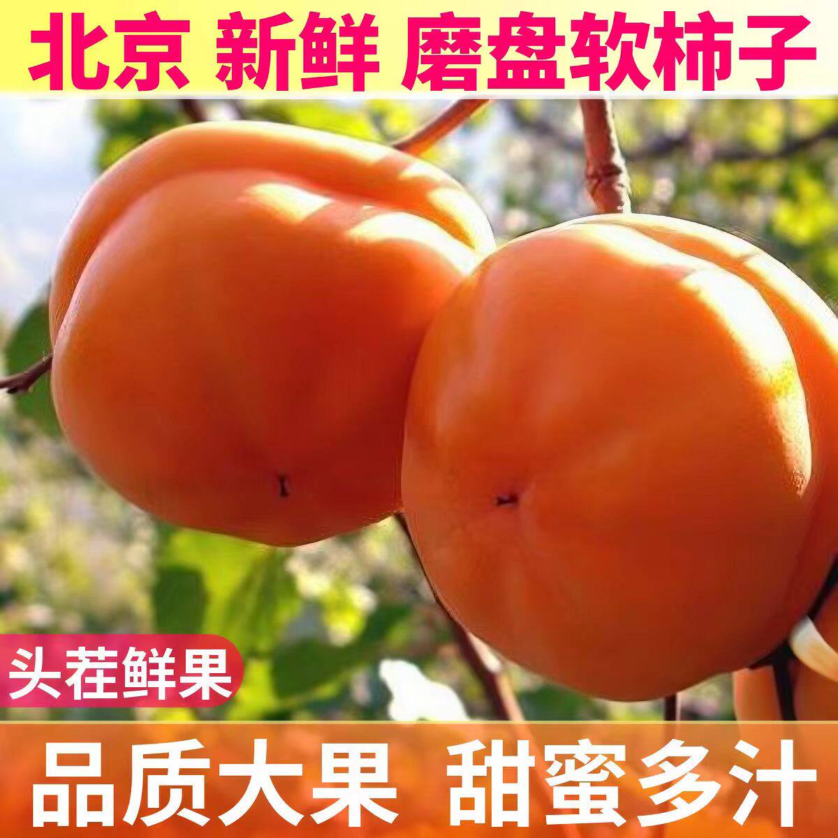 2026河北特大磨盘柿子新鲜软柿子甜水果懒柿北京盆柿冰柿胜冻柿子