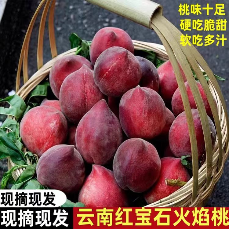 云南火焰桃新鲜红宝石桃子当季孕妇水果脆桃毛桃鹰嘴桃黑美人桃子