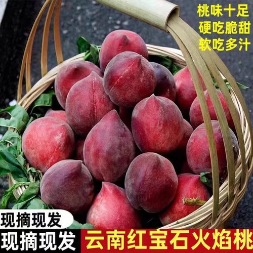 云南火焰桃新鲜红宝石桃子当季孕妇水果脆桃毛桃鹰嘴桃黑美人桃子