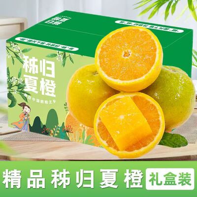 2026柑橘秭归恋脐橙纽荷尔脐橙无籽柑橘产地现摘当季一整箱