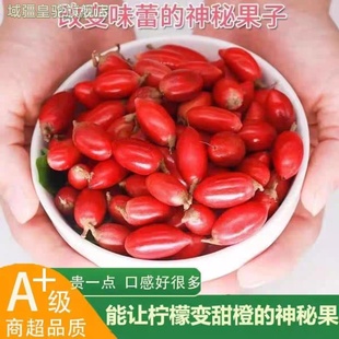 神秘果鲜果酸变甜变味果 蜜拉圣果 神奇改变味觉果干 解酒