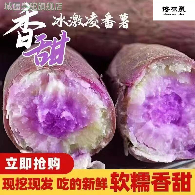 正宗新鲜一点红红薯农家自种沙地花心薯粉糯广西网红冰淇淋番薯种