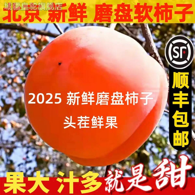 北京大磨盘柿子 新鲜现摘10斤 甜软多汁 非脆柿 可做冻柿