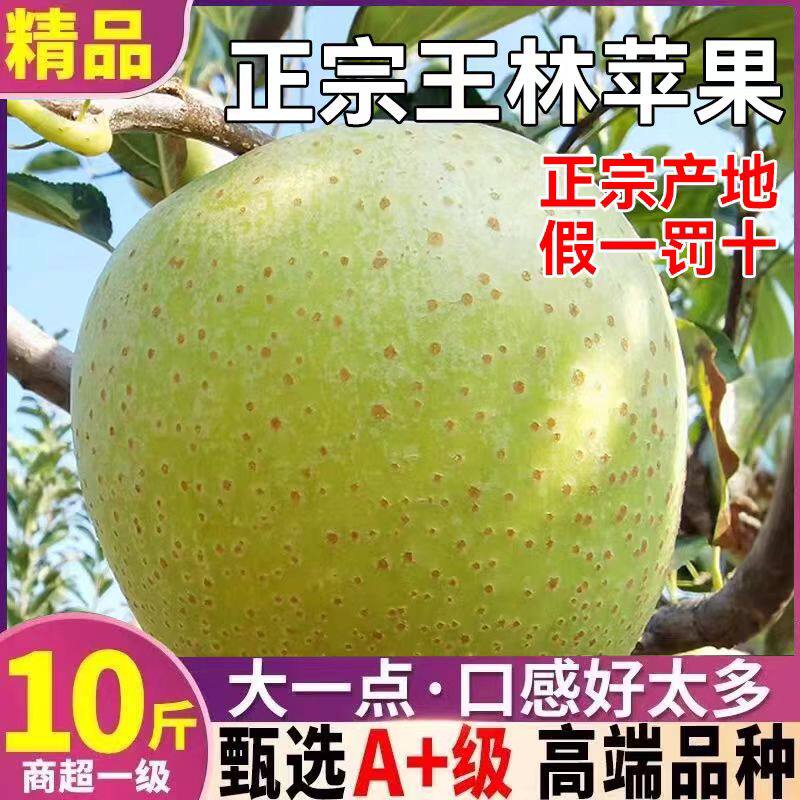 26年新鲜青苹果正宗王林苹果酸甜脆孕妇水果应季雀斑苹果大连王林图片