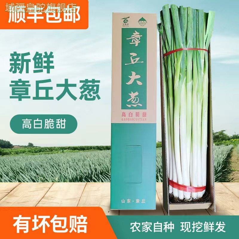 顺丰正宗山东章丘大葱新鲜大葱礼盒装农家葱王水果甜葱脆甜嫩,水产肉类/新鲜蔬果/熟食,葱类,淘宝优惠券,粉丝福利购,淘宝优惠卷
