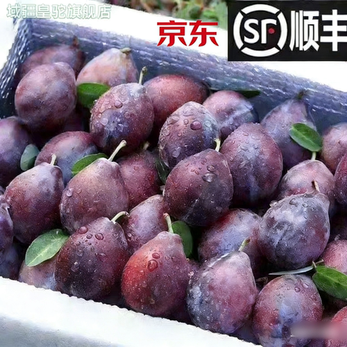 26年西梅新鲜水果香甜多汁当季水果应季李子新货速发整箱包邮