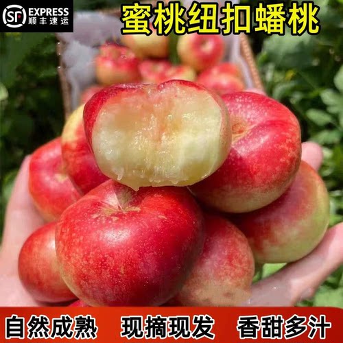 现摘纽扣蟠桃新鲜小油蟠桃明月小扁桃脆甜软桃子应季孕妇水果包邮