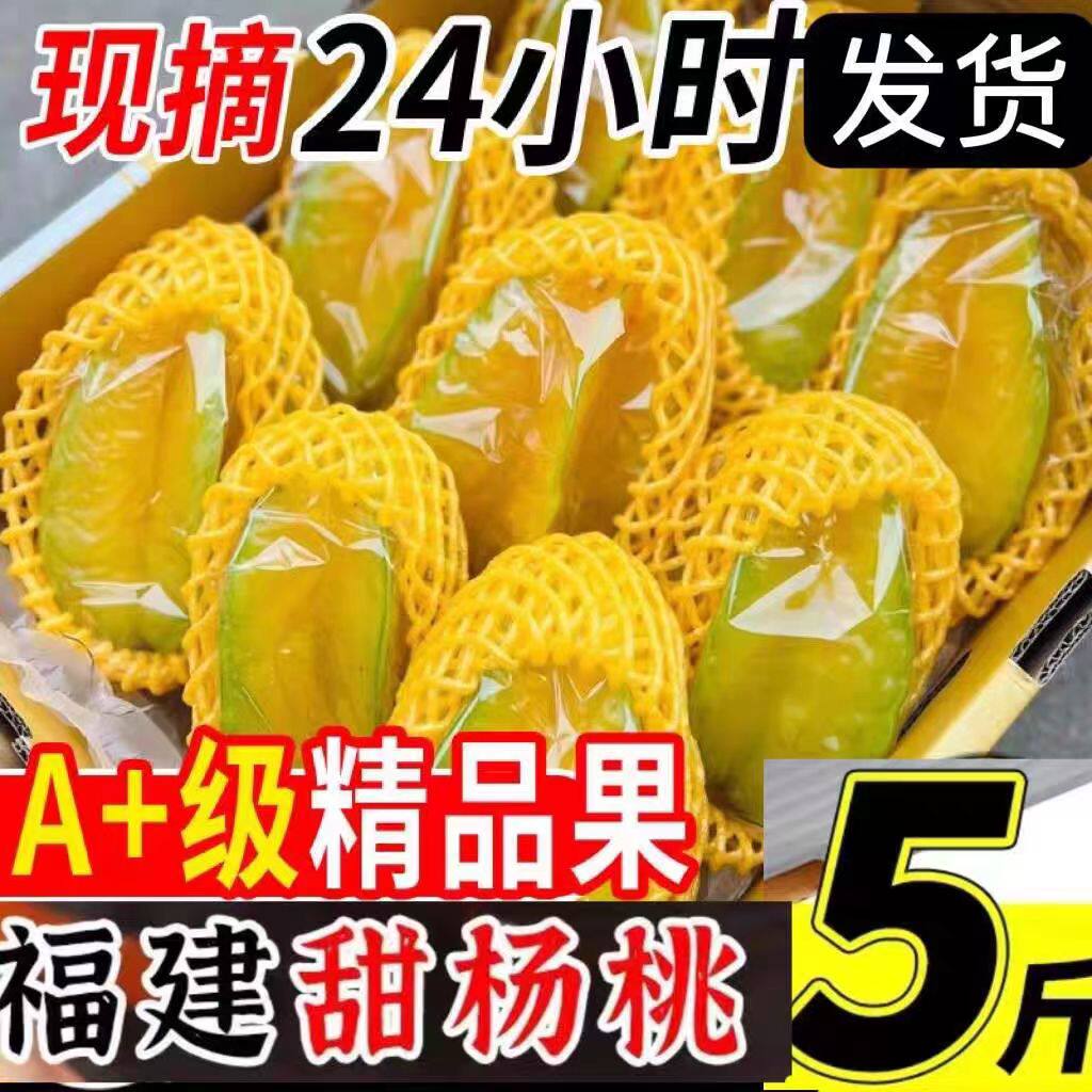 福建漳州甜杨桃5斤新鲜水果洋桃鲜果红龙扬桃五角星阳桃整箱包邮