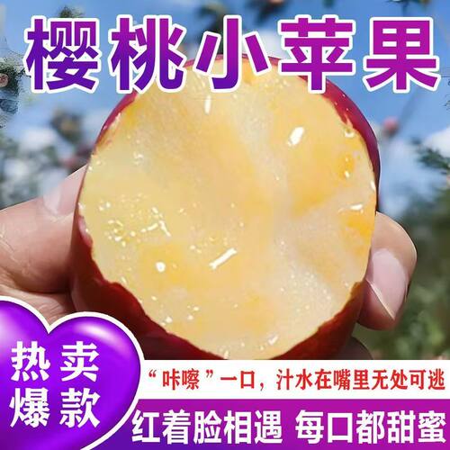 【精品果】正宗樱桃小苹果当季甜脆红富士水果整箱礼盒平安果
