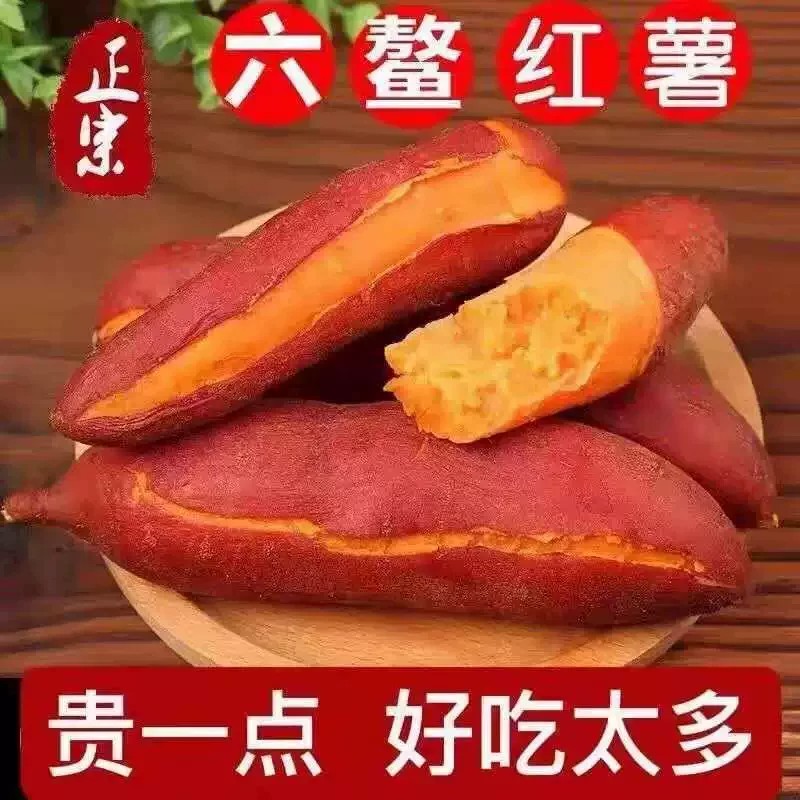 福建六鳌蜜薯新鲜红薯地瓜富硒沙地红心红蜜薯代餐老人小孩辅食