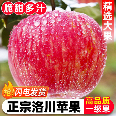 正宗陕西延安新洛川苹果一箱红富士官方旗舰店产地直发