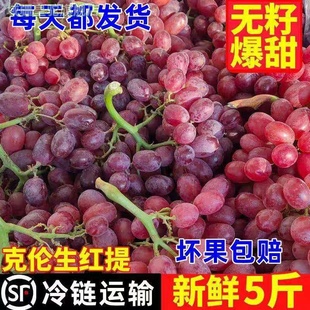 克伦生无籽葡萄新鲜脆甜无籽红提子应季孕妇整箱水果包邮净重5斤