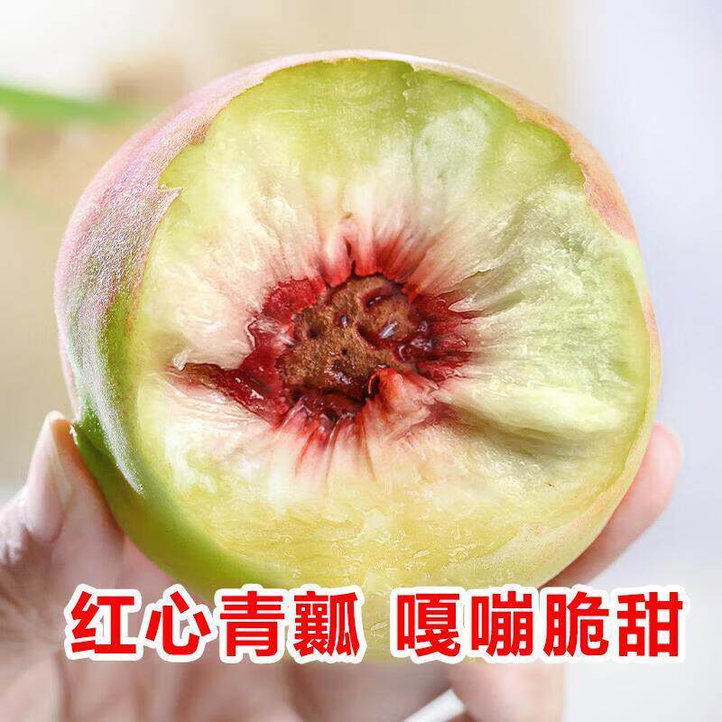 2026广西桂林春季毛桃桃子新鲜脆桃当季脆甜桃子新鲜水果整箱