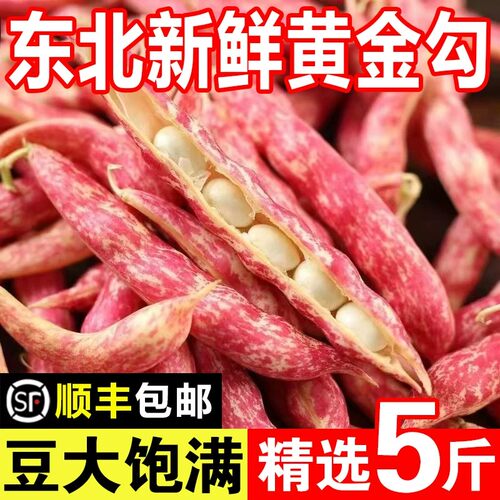 东北特产新鲜黄金勾豆角黄金钩红金钩油豆角鼓豆新鲜蔬菜5斤包邮