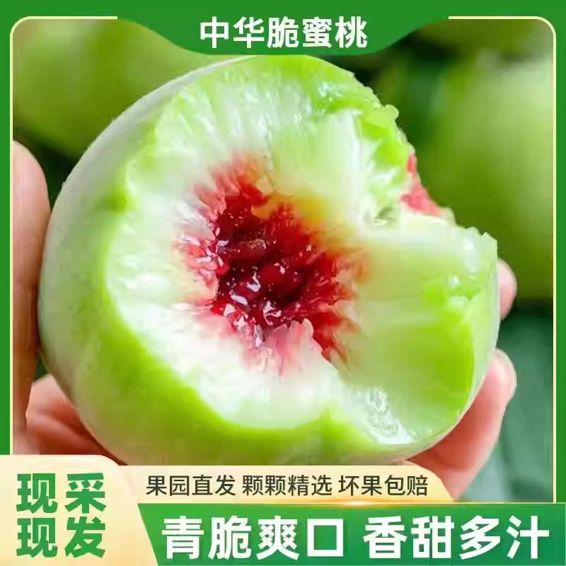 2026青脆蜜桃新鲜新鲜应季毛桃