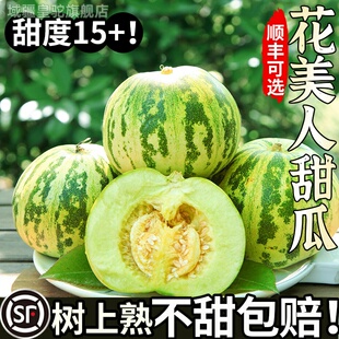 八里香花美人甜瓜花姑娘香瓜新鲜应季时令水果新鲜现摘脆甜蜜瓜