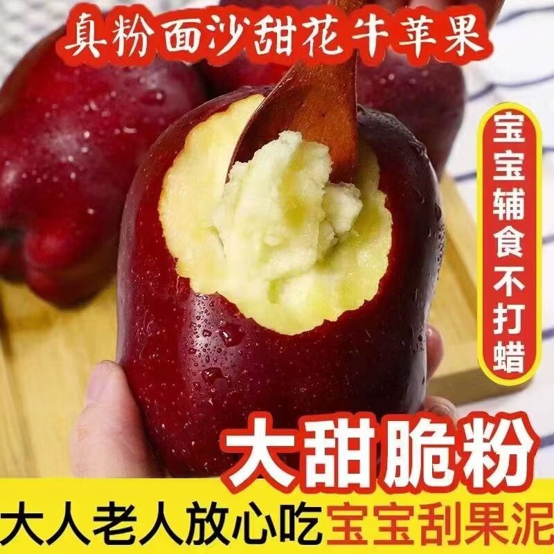 花牛苹果新鲜当季水果粉面苹果宝宝儿童辅食水果整箱包邮