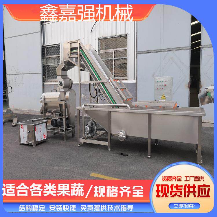 大型果蔬工业苹果梨榨汁机不锈钢橘子去皮打浆机毛桃去核果汁机