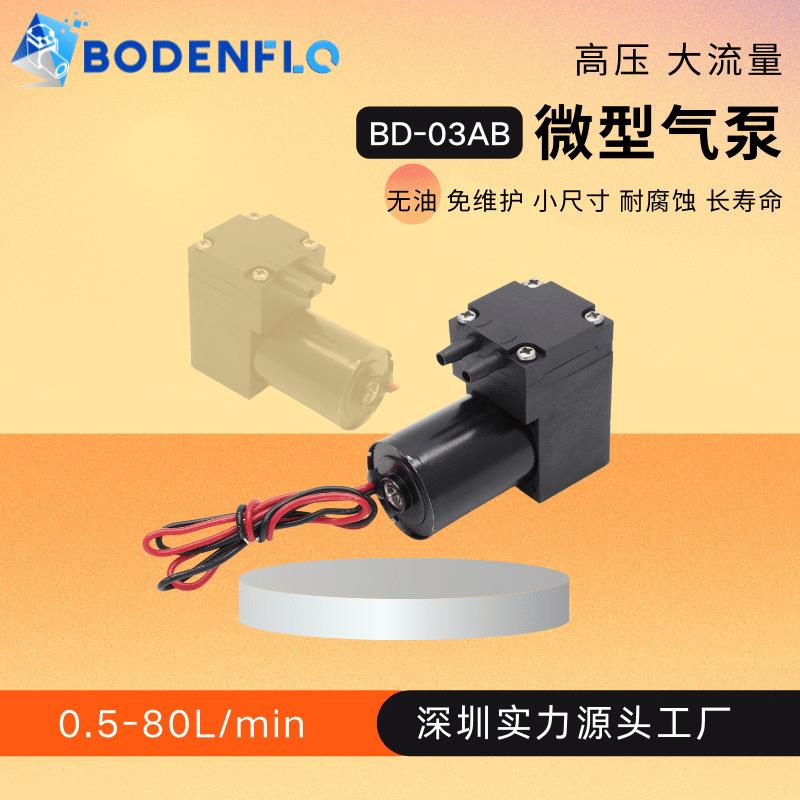直流无刷微型静音气泵3L-7L用于打气加压的3bar小型空气压缩机