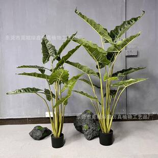 仿真植物盆栽萨利安海芋仿真绿植海芋落地大型仿真盆景