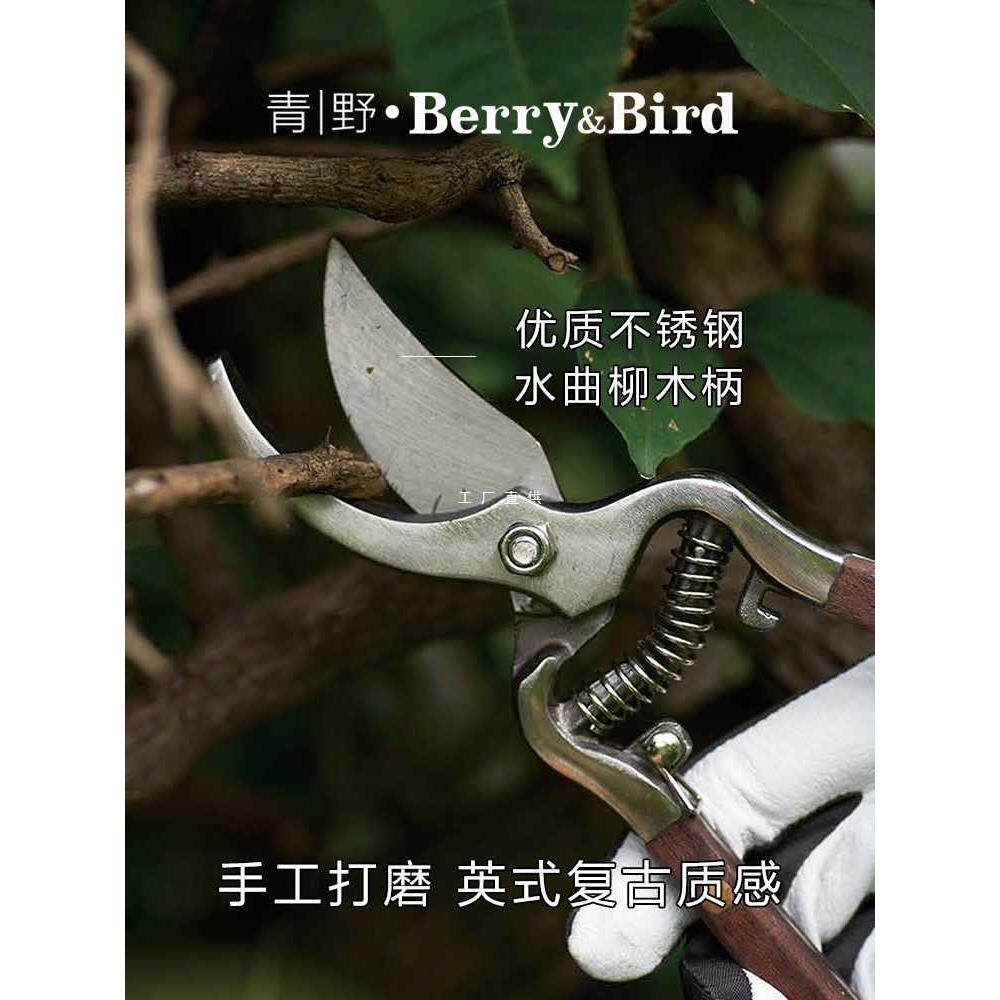 6E3X青野不锈钢铲子园艺耙挖土养花种移栽家用工具儿童