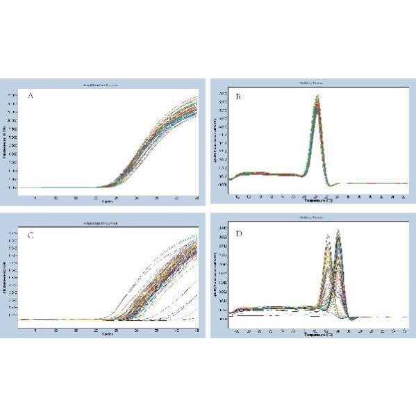 热图韦恩图火山图森林图气泡图单细胞miRNA靶基因转录组RNAseq