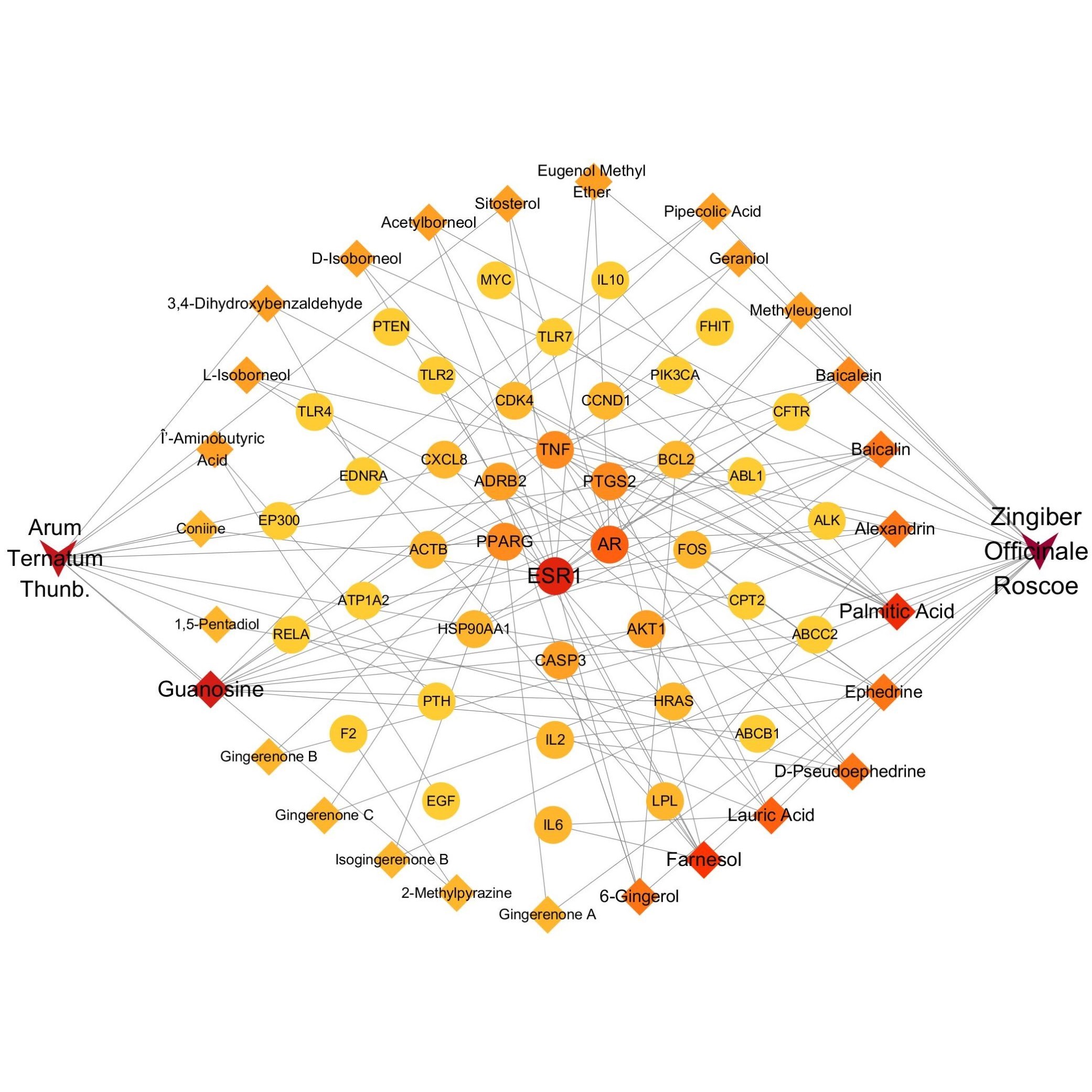 分子对接/网络理学/中复方/动力学模拟/虚拟筛选/小分子/多肽