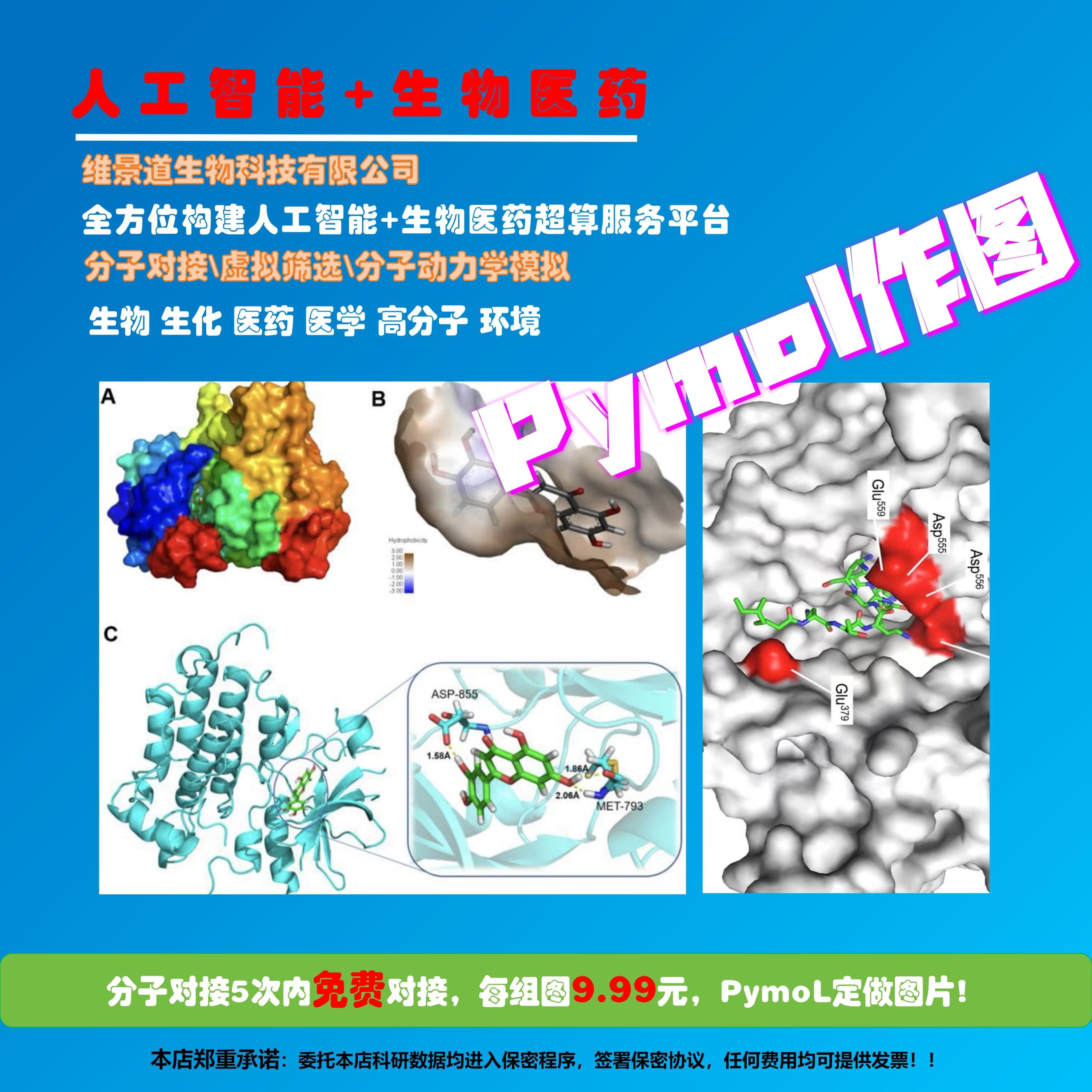 PymoL作图生物医学工程物设计分子对接虚拟筛选计算化学模拟