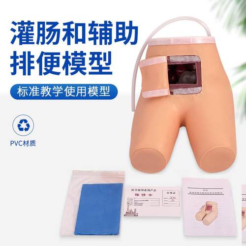 高级辅助排便和灌肠练习辅助排便操作护理教学灌肠术技能练习模型