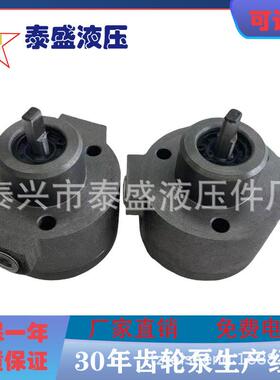 1RA-2FSCRACYPDRAIRABMB-3FS润滑泵可逆式摆线双向油泵DRP