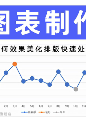 图表制作柏拉图代画绘图visio表格ppt流程图排版美化数据统计绘图