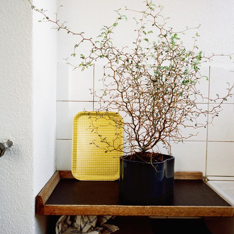 芬兰Artek Siena Rivi 托盘 方形长方形装饰餐盘小盘Z子摆件收纳