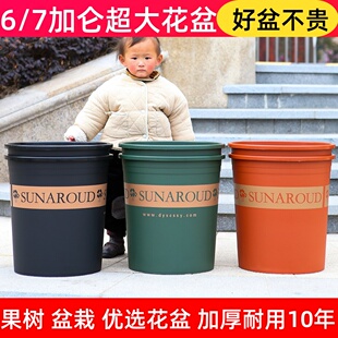 超大号7加仑6加仑盆加厚环保树脂塑料花盆室外大型落地植物果树盆