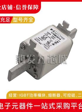 170M3814 3815 3816 3817 3818 3819 全新熔断器现货