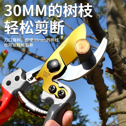 园艺剪枝剪刀修枝剪粗枝剪园林花艺剪H子修剪树枝专用省力剪切工