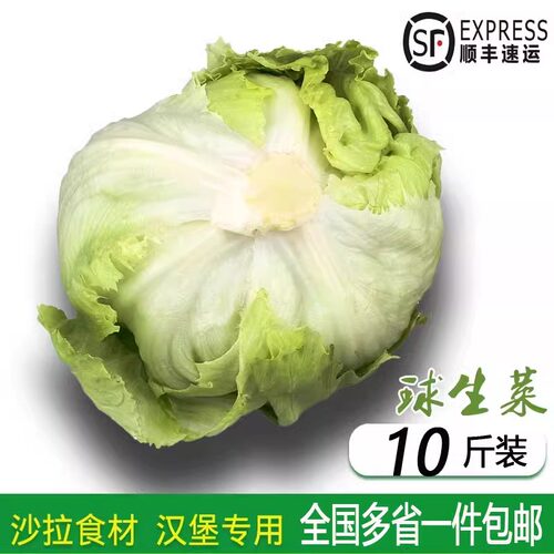 新鲜蔬菜汉堡圆西生沙拉餐