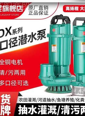 人民潜水泵农灌溉抽水用泵高程家用扬220v水泵全大上海地老虎YJL