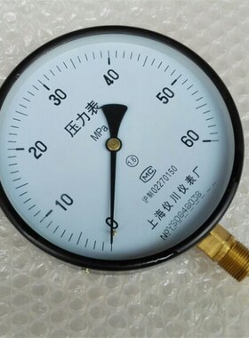 仪川压力表 Y150 060mpa m20x15 表盘直径100 径向/立式