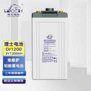 理士蓄电池DJ1200 2V1200AH铅酸免维护直流屏UPS机房电源光伏储能