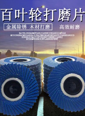 加强型碟形叶轮 韩式页轮 花页轮 蓝砂抛光百叶片 45页软片100*16