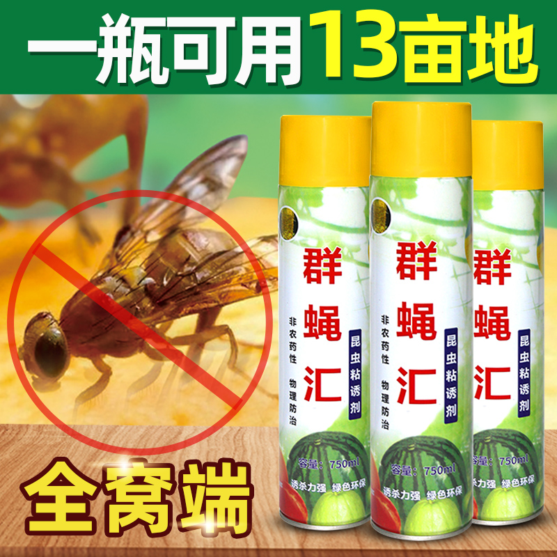 群蝇汇果蝇诱捕器黄板双面粘虫胶果园针蜂昆虫引诱瓜果实蝇诱粘剂