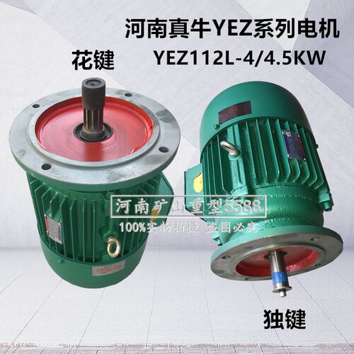河南真牛电机YEZ112L4/45KW锥形转子三相异步电动机 架桥机电机